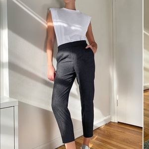 Aritzia Babaton Conan Pant